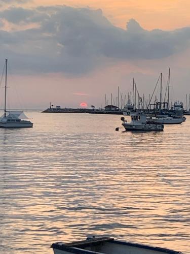 Hostal Seerestaurant & Suiten Hayat