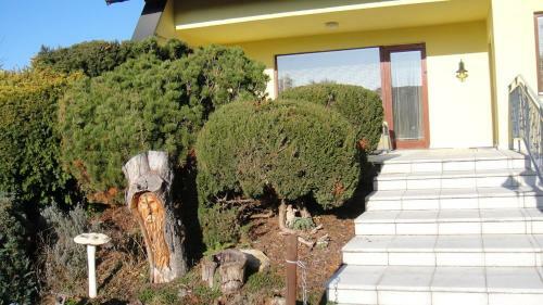 Hostal G�stepension Sport 71