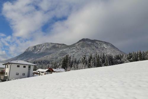 Apartamento Appartement Ilvy