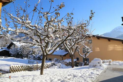 Apartamento Appartement Ilvy