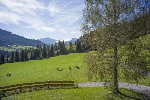 Apartamento Bauernhof Hinterfirst