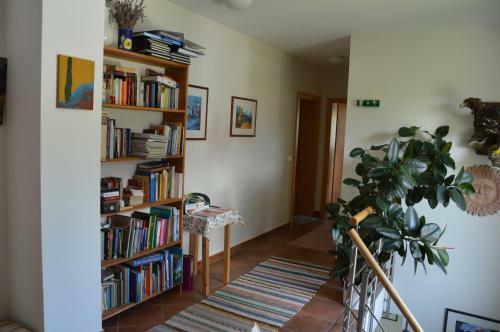 Apartamento Haus Dorothea