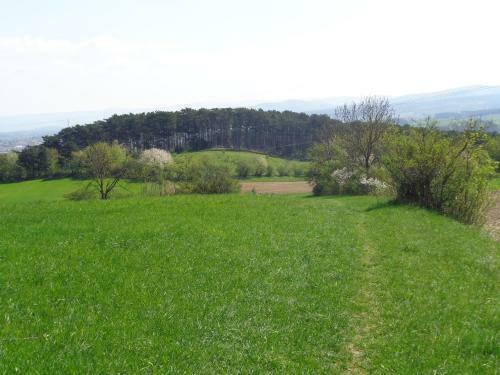 Hostal Pension Himmelreich