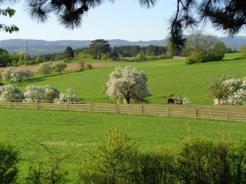 Hostal Pension Himmelreich