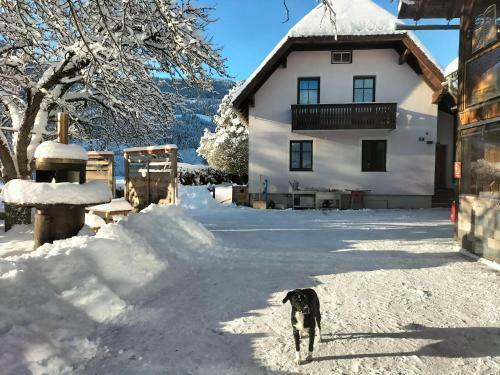 Apartamento Ferienhaus Georgie