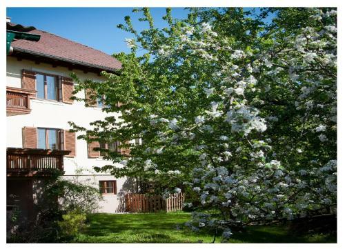 Apartments Himmelreich