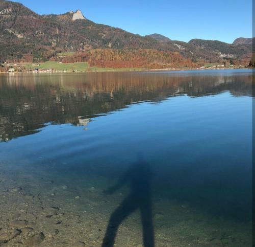 Apartamento Ferienwohnungen Sammer