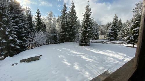 Apartamento Chalet Franz