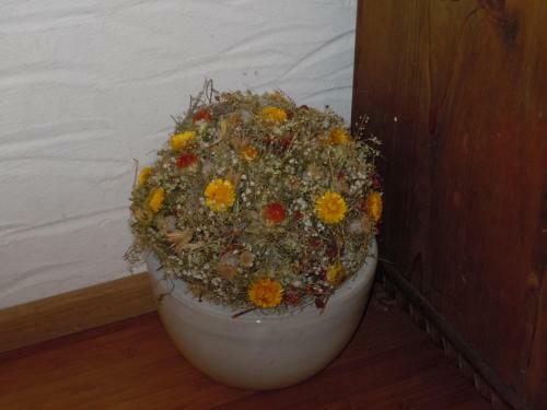 Hostal Appartementhaus Dargham