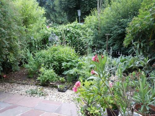 Hostal Appartementhaus Dargham