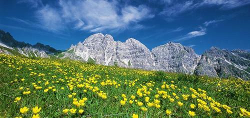 Apart- Chalet Gletschergl�ck