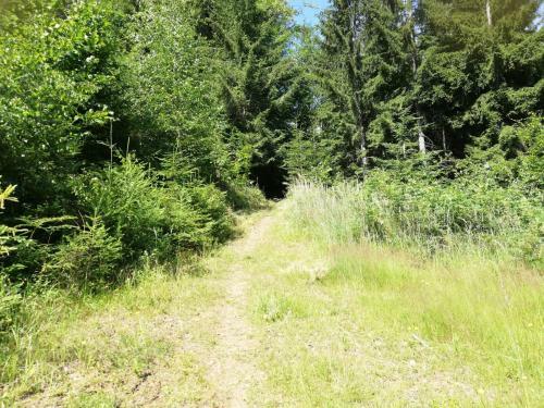 Apartamento Da Tizzi