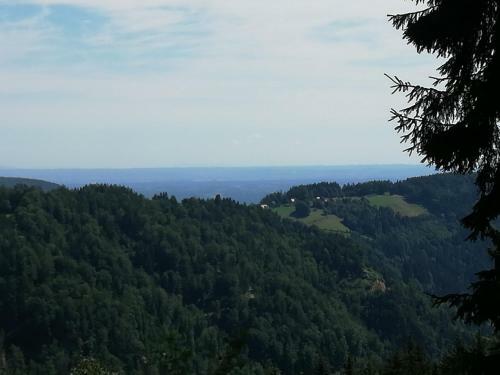 Apartamento Da Tizzi