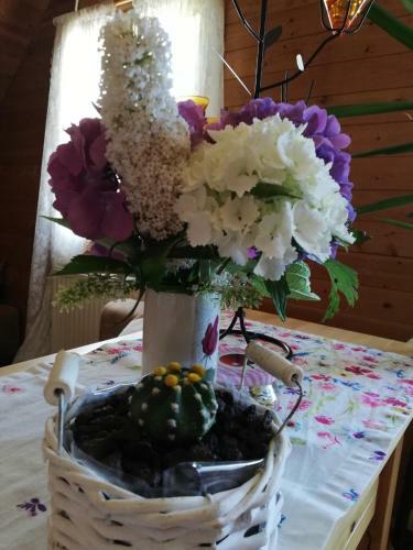 Apartamento Da Tizzi