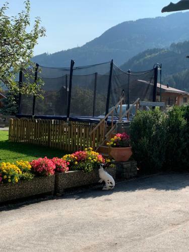 Hostal Pension Schmiedhof