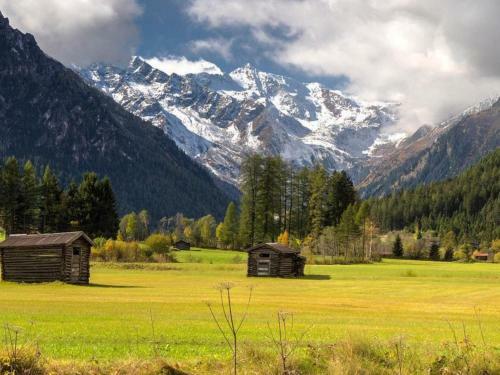 Apartamento Haus Alpenrose