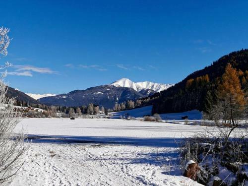 Apartamento Haus Alpenrose
