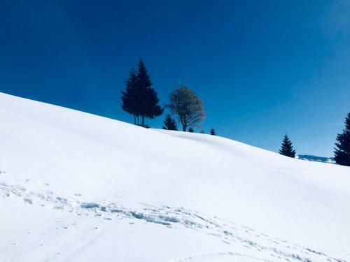 Apartamento Haus Alpenrose