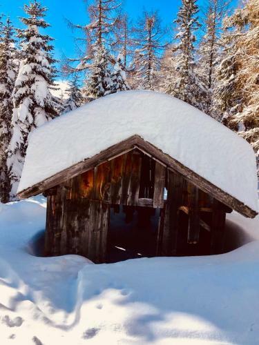 Apartamento Haus Alpenrose