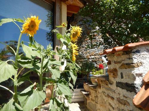 Apartamento M�rchenschl�ssel Altenstein