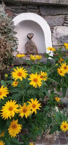 Apartamento M�rchenschl�ssel Altenstein