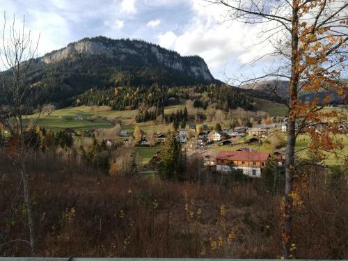 Apartamento Appartement Schneerose