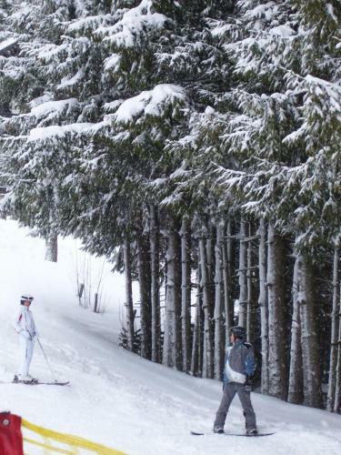 Apartamento Appartement Schneerose