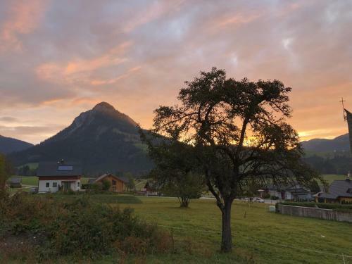 Apartamento Alpenhaus L�rchenwald
