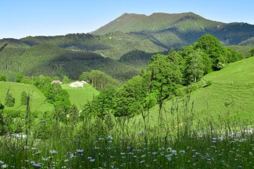 Apartamento Ferienwohnung Am Sattelhof