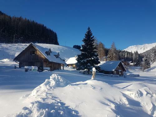 Apartamento Seebergalmh�tte