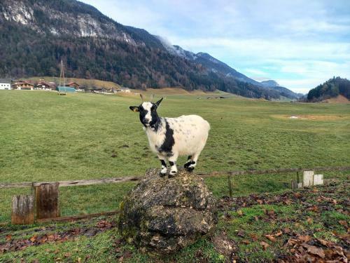 Apartamento Ferienwohnung Bergtroll