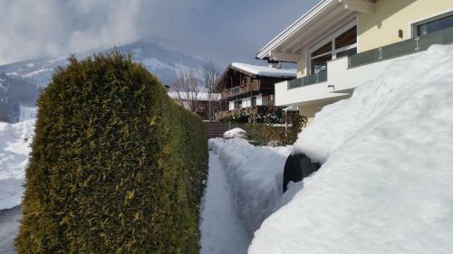 Apartamento Appartment Schatz