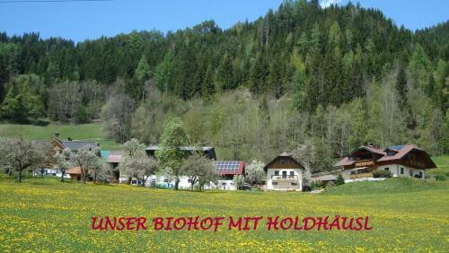 Apartamento Holdh�usl