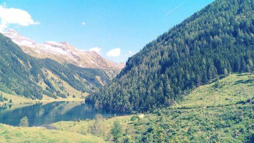 Apartamento Appartements Bachler