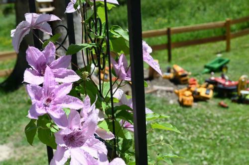 Hostal Pension Mitterwallner