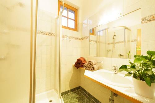 Apartamento Warterhof