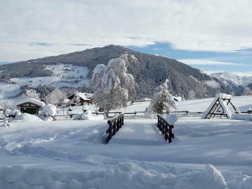 Hostal Sportpension Alpenrose