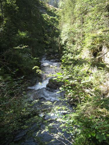 Hostal Sportpension Alpenrose