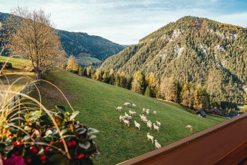 Bed & Breakfast Mittergruberhof