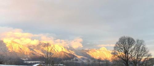 Apartamento Landhaus Andrea