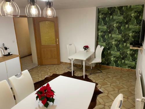 Hostal Chalet Janer