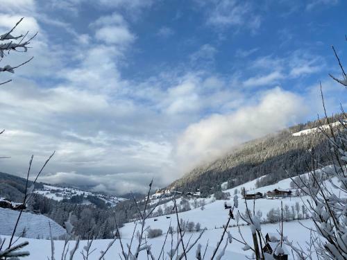 Hostal Chalet Janer