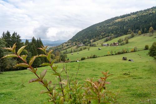Hostal Chalet Janer