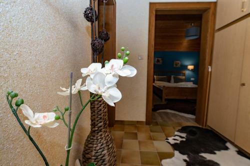 Hostal Chalet Janer