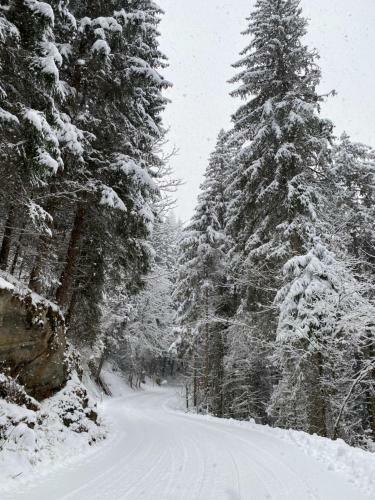 Hostal Chalet Janer
