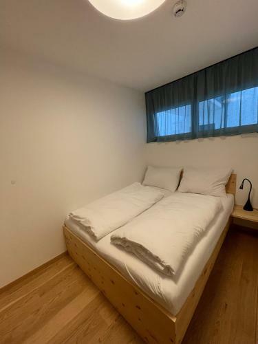Planai Apartment Eish�hle
