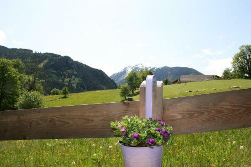 Apartamento Haus Bergliebe