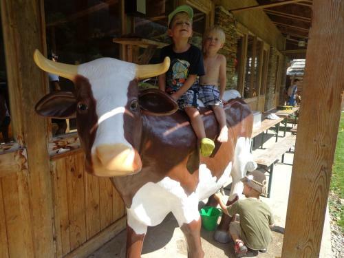 Apartamento Haus Bergliebe