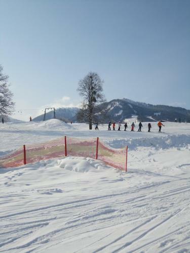 Apartamento Haus Bergliebe