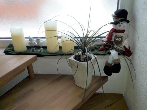 Apartamento Ferienwohnung Felhofer